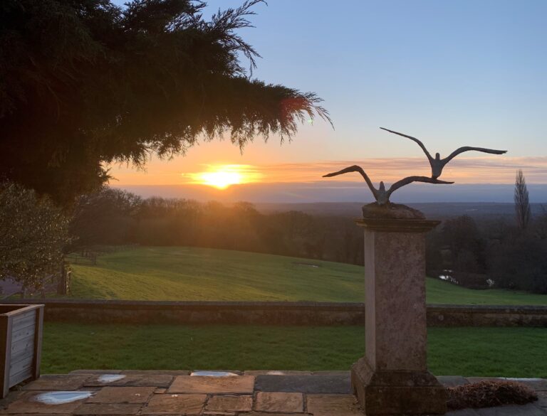 view cropped 1 768x585