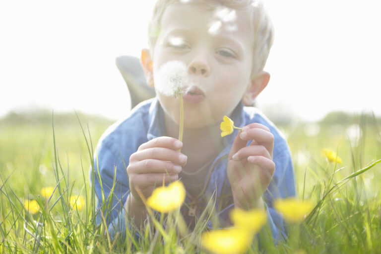 boy with buttercups 1 768x511