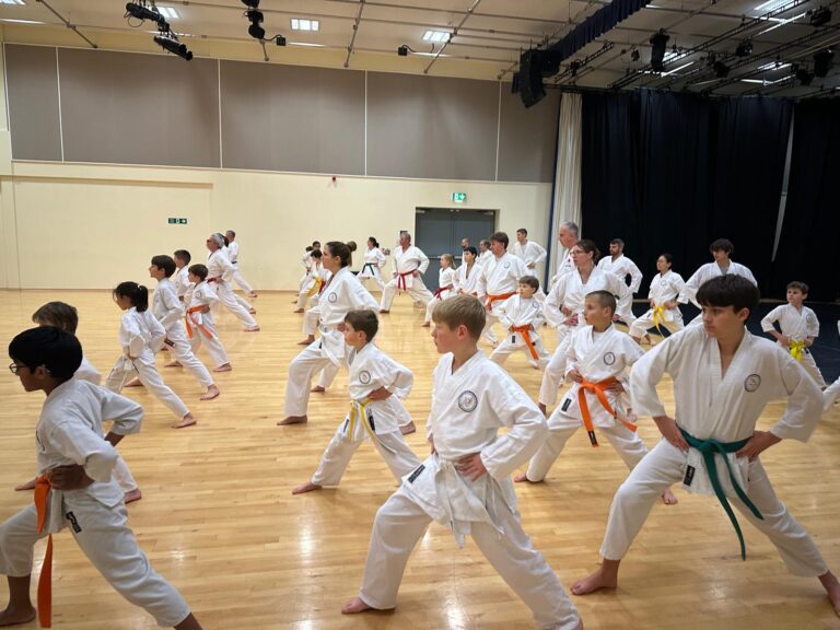 Invicta Karate Sevenoaks Invicta Karate Sevenoaks